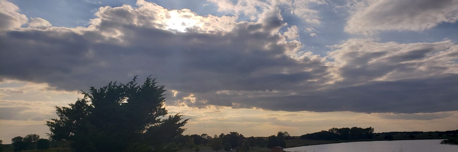 Zebra_Volleyball2017 banner