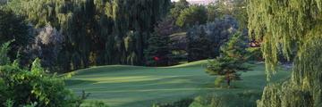 Practical Turf Care banner