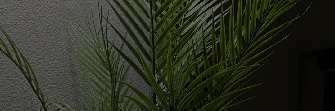 ebonykthomas's profile banner image