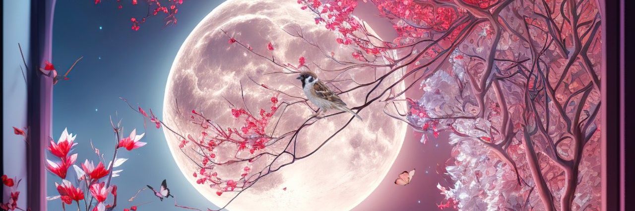 zhousy2009's profile banner image