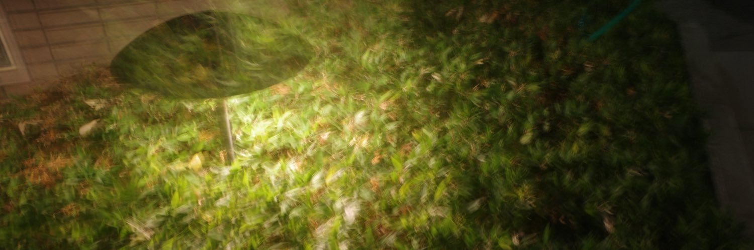 segetalis's profile banner image