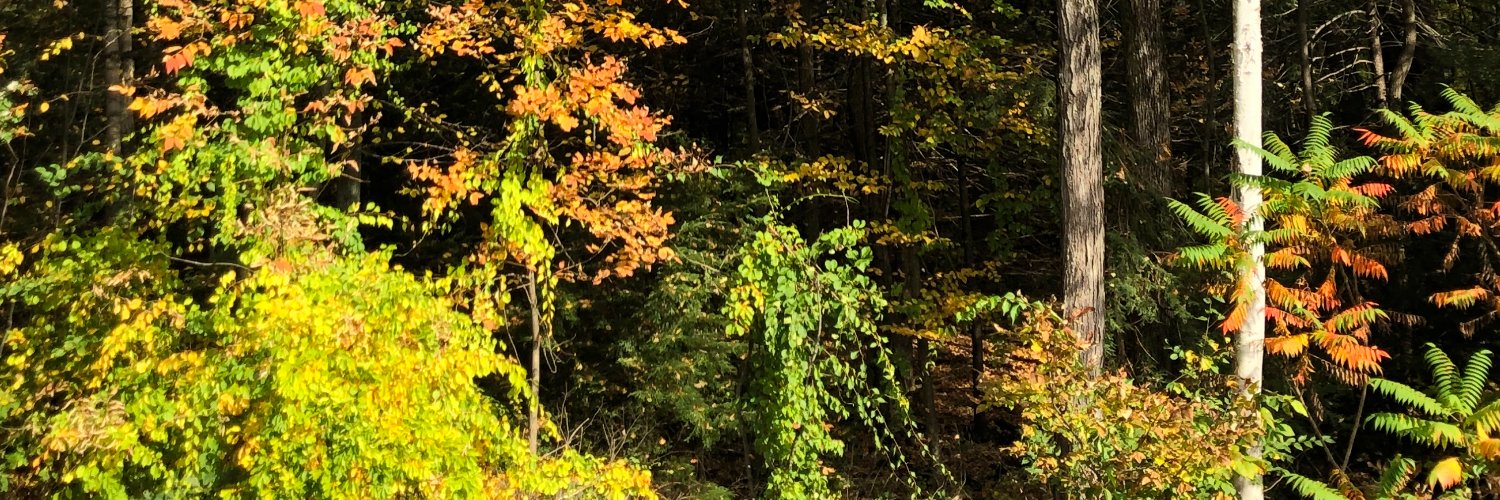 CaliSmile831's profile banner image