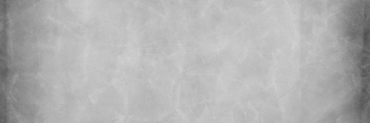 NYRBooBird's profile banner image