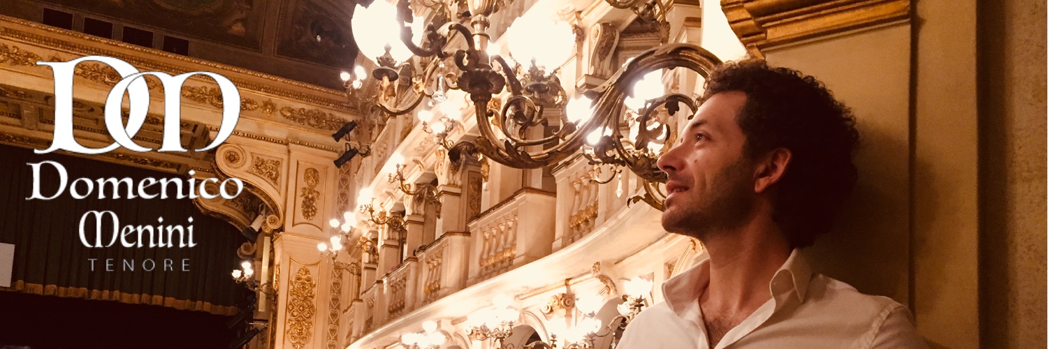domenicomenini's profile banner image