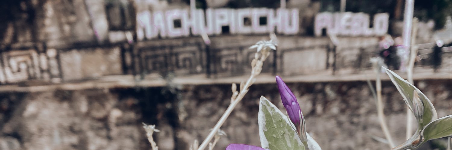 ingridcathe21's profile banner image