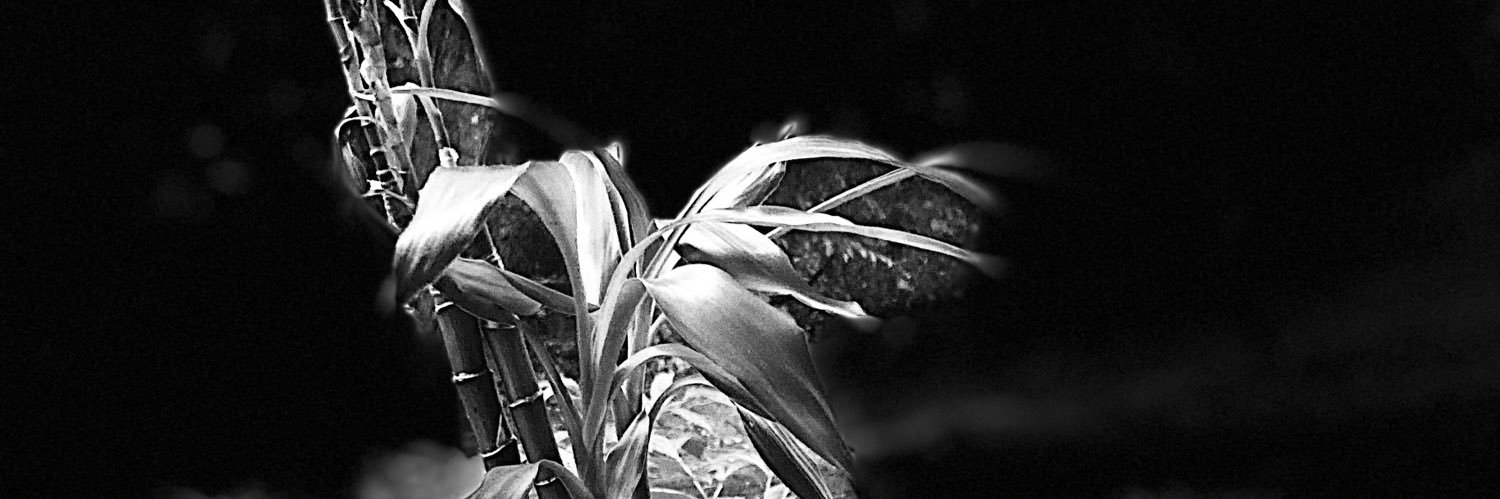 4_me2u's profile banner image