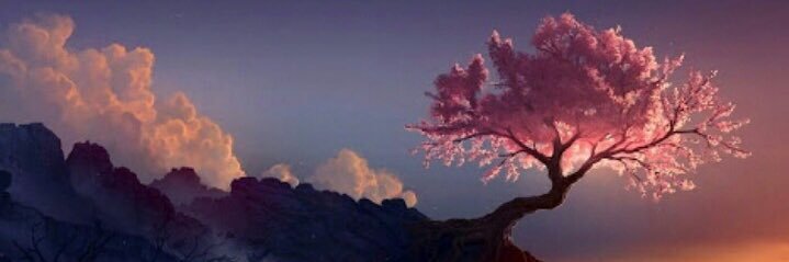 Sandi ✡️🇺🇸🇮🇱 banner