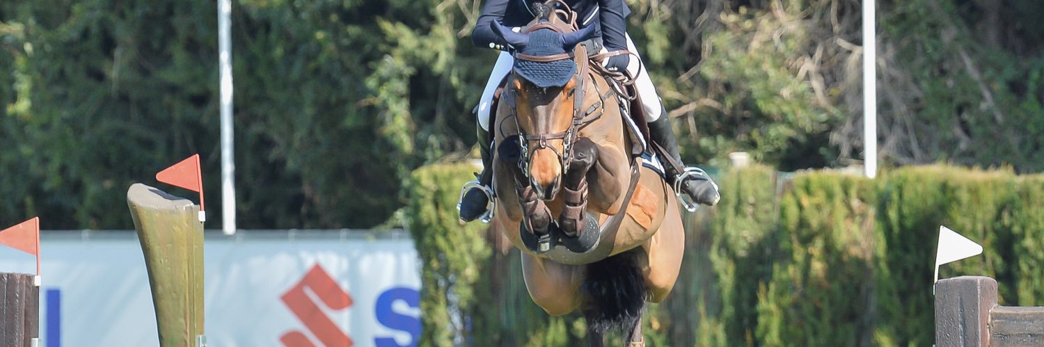 keatingstown house stud banner