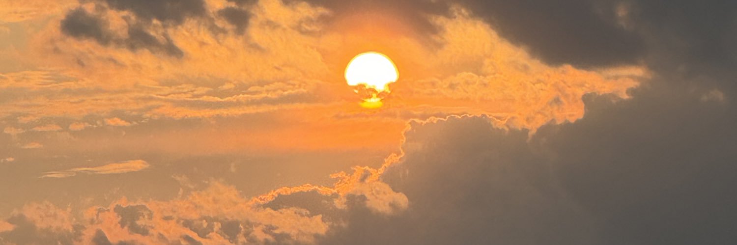 daianelopes_8's profile banner image