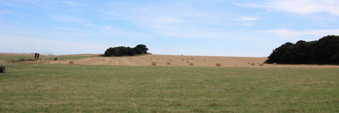 RockinghamsFarm's profile banner image