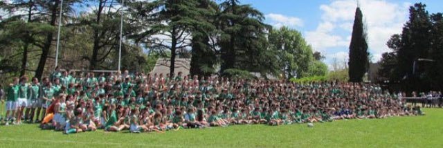 Hurling Club Arg banner