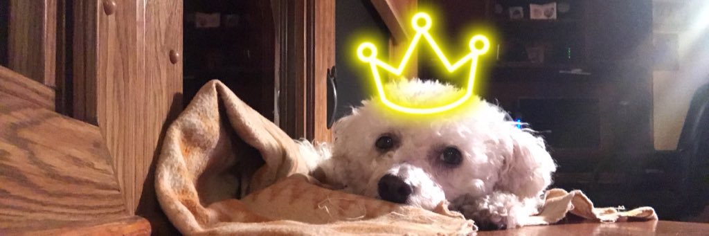 7eltsyrK's profile banner image