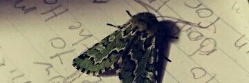 cursed_143's profile banner image