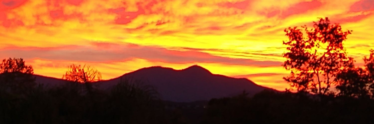 haybud44's profile banner image