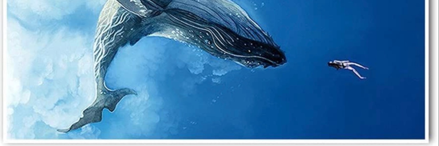 Luna🌊 banner