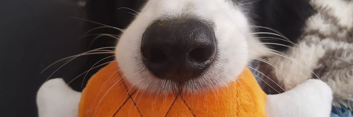 _Astridxx_'s profile banner image