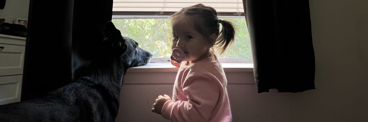 𝓂𝒾𝓃𝒹𝓎 ♡ banner