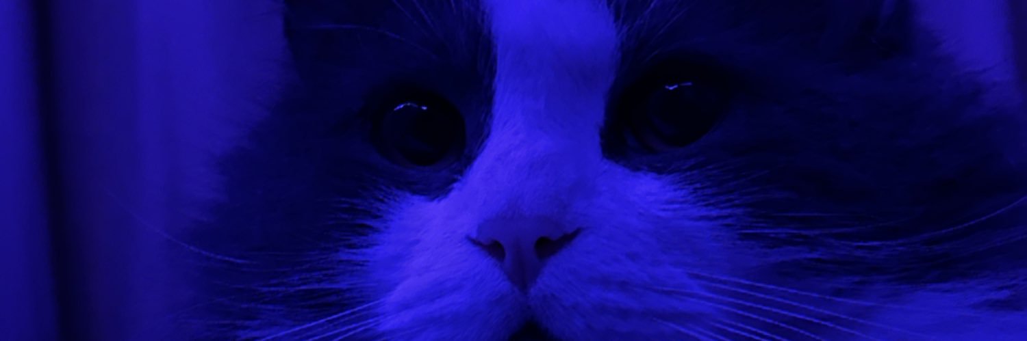 Gabbe8888's profile banner image