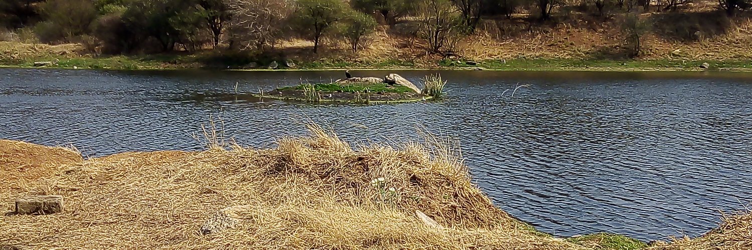 thapeloindlovu's profile banner image