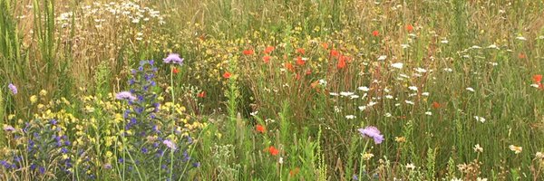 English1Maiden Profile Banner