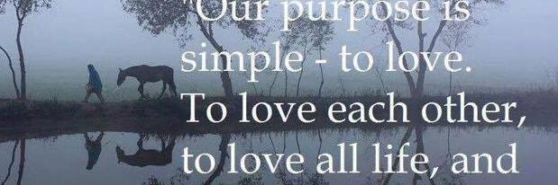 deborahh🌎💗 marie #Extinction Is Forever banner