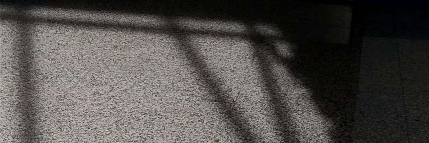 truestann's profile banner image