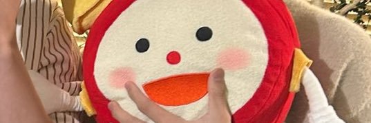 chip___rin's profile banner image