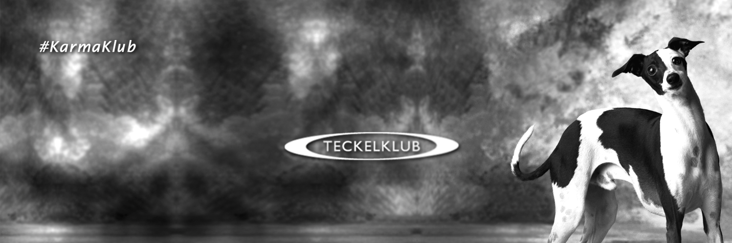 teckelklub's profile banner image