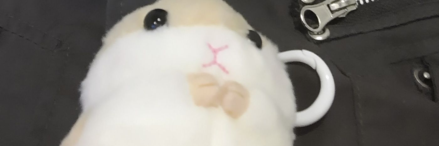 sandomaki's profile banner image