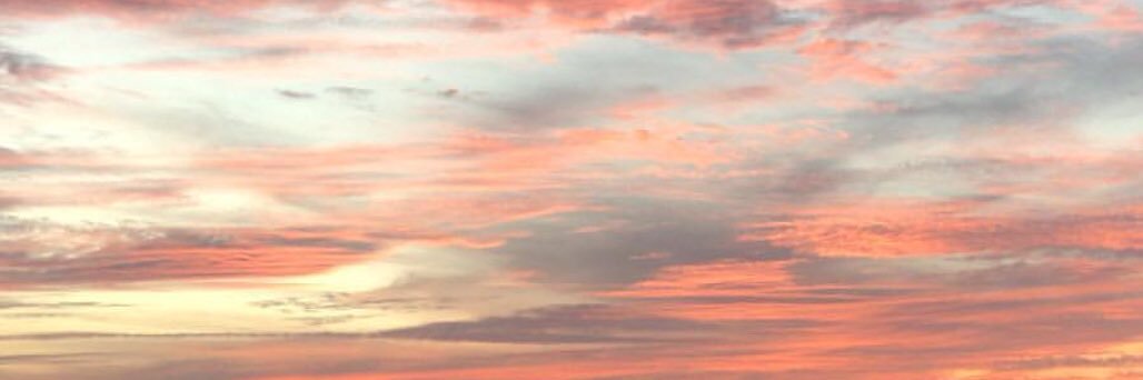 roserossley's profile banner image