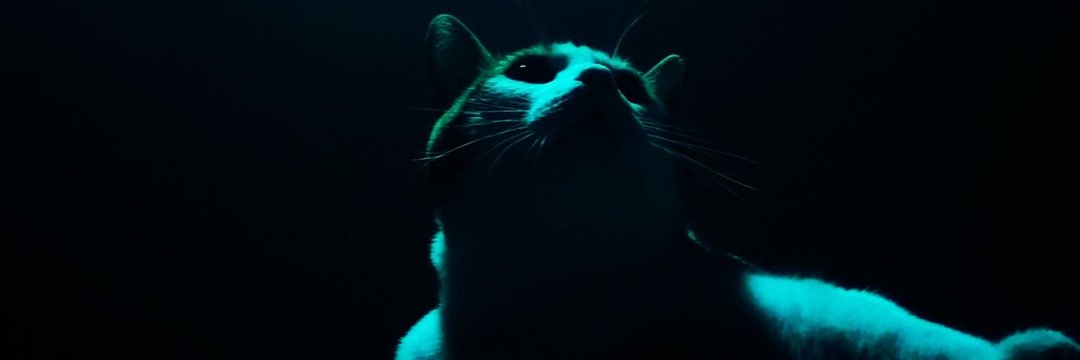 aburtheyikik's profile banner image