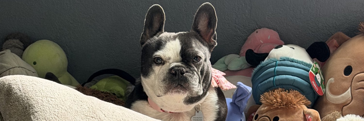 reneemarriee's profile banner image