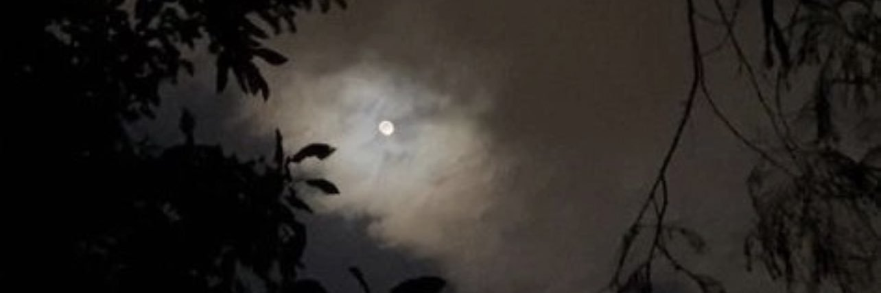 Ta_xa8's profile banner image