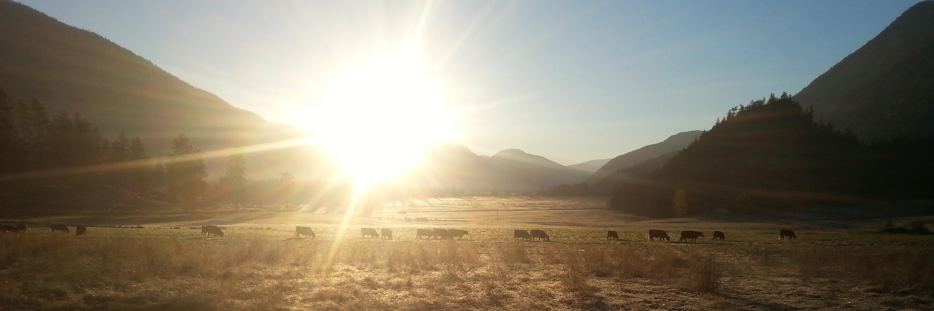 Spray Creek Ranch (@spraycreek) / Posts / X