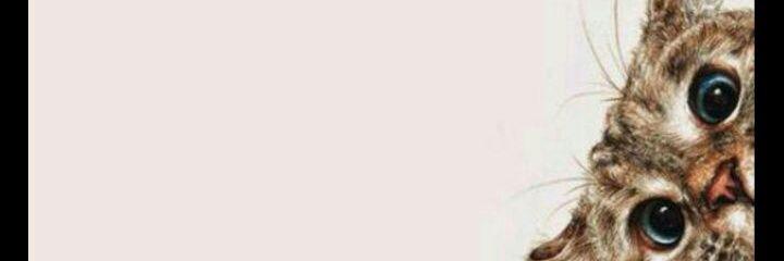layhgomes's profile banner image