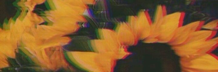 karimmelc16's profile banner image