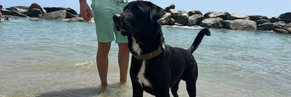 JoseDavidFY Profile Banner