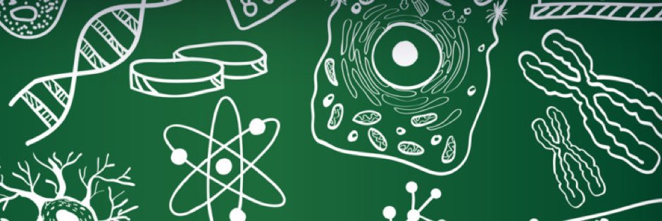 Katie Bergstrom (she/her) banner