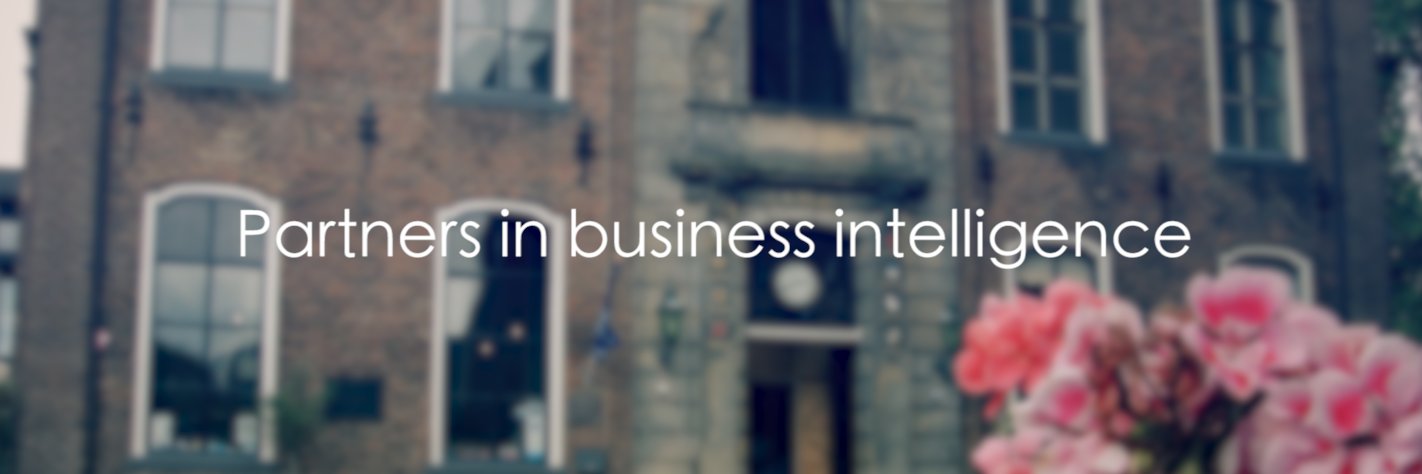 BI Partners banner