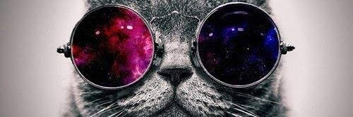 gaggodoi's profile banner image