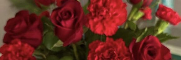 AriBeeep's profile banner image