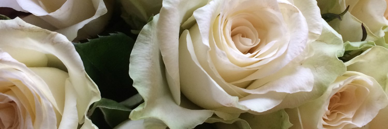 KateWood_31's profile banner image