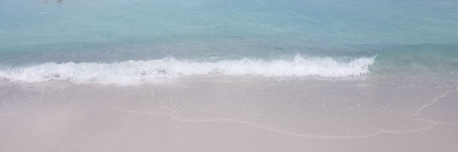 FisuTheOne's profile banner image