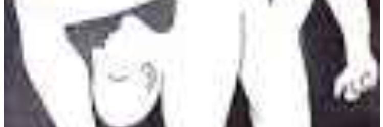 catgrimpe's profile banner image