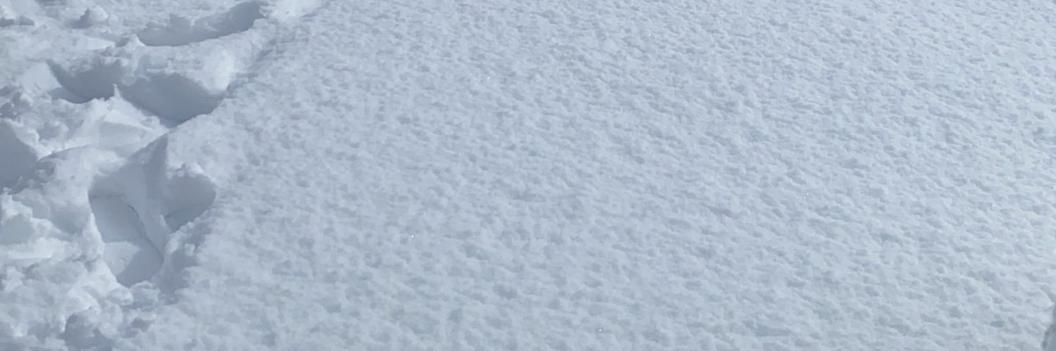 bobwan0617's profile banner image