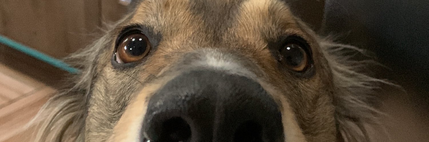 tiagodevdd's profile banner image