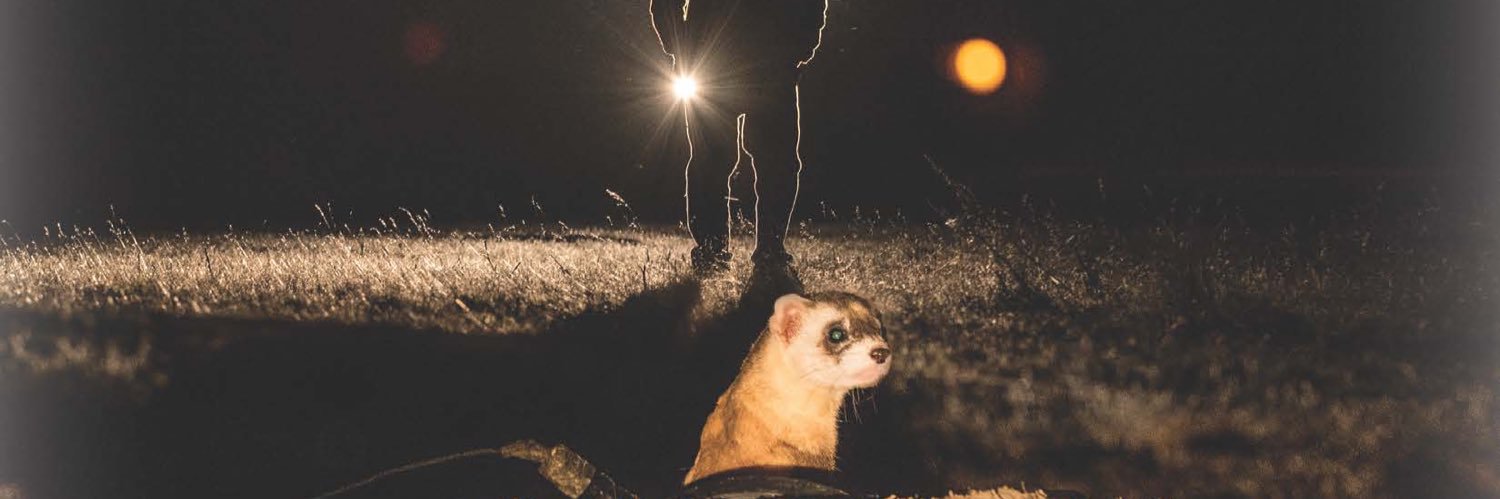 Lawrence Lenhart banner