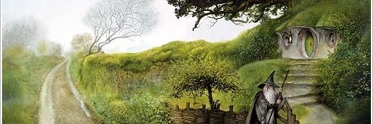 YMerveBbr's profile banner image