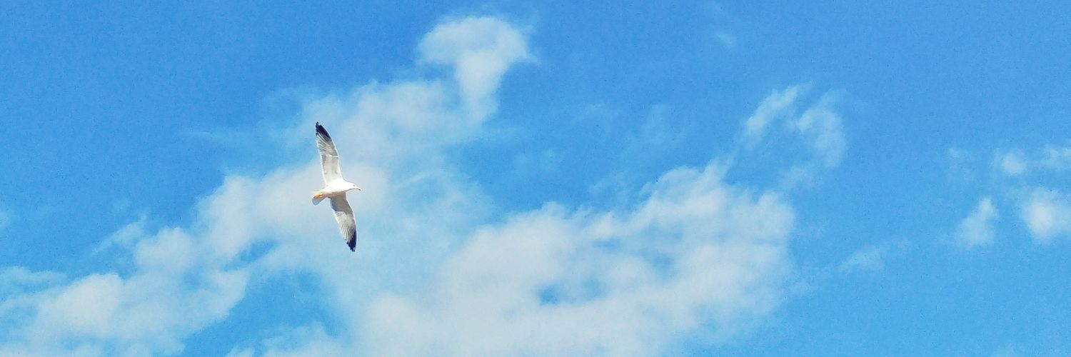 andreamlongo's profile banner image