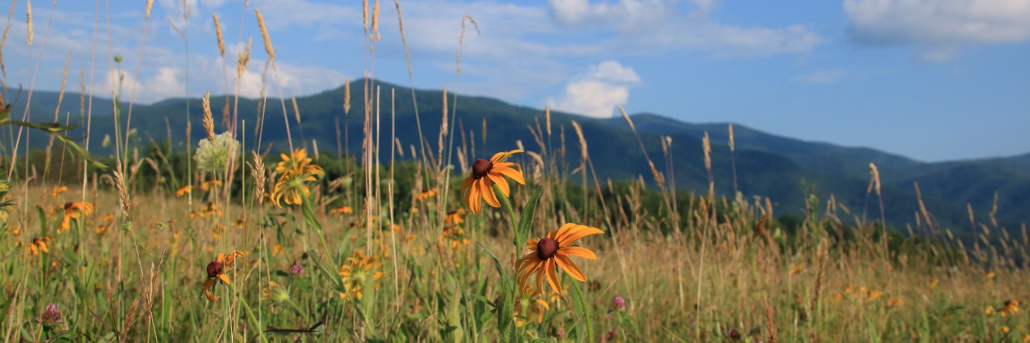 GreatSmokyNPS Profile Banner